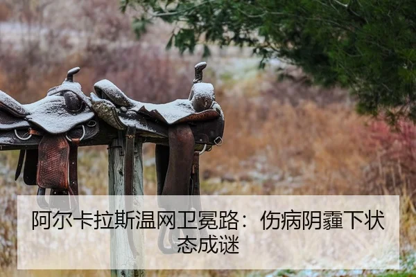 a-er-ka-la-si-wen-wang-wei-mian-lu-shang-bing-yin-mai-xia-zhuang-tai-cheng-mi-2-222.jpg
