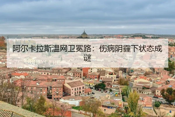 a-er-ka-la-si-wen-wang-wei-mian-lu-shang-bing-yin-mai-xia-zhuang-tai-cheng-mi-3-941.jpg