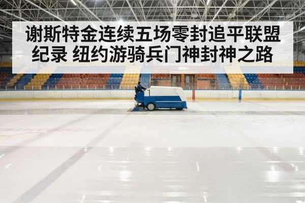 hockey rink