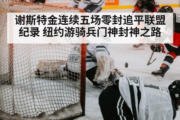 hockey save